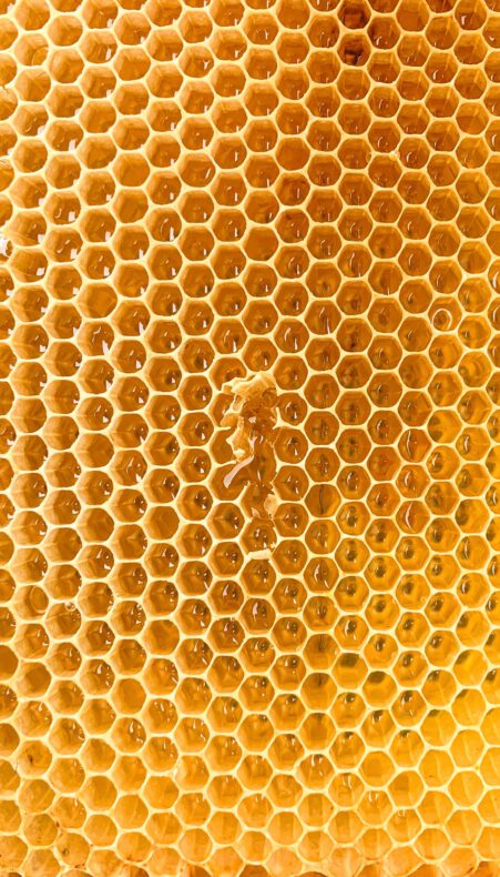 Landelijke Open Imkerijendag—Linschoten Natuurlijk