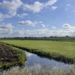 Zomerwandeling in Nieuwerbrug met de Parmey
