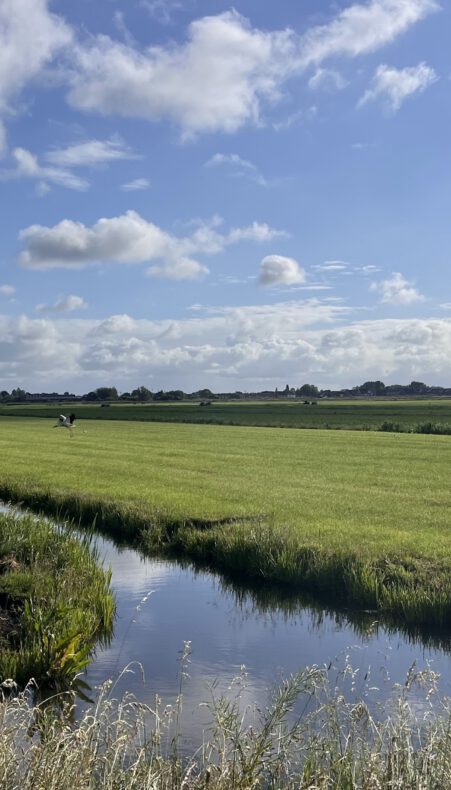 Zomerwandeling in Nieuwerbrug met de Parmey