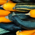 Courgettes in overvloed op de open dag op de Vegaboerderij Groene Hart