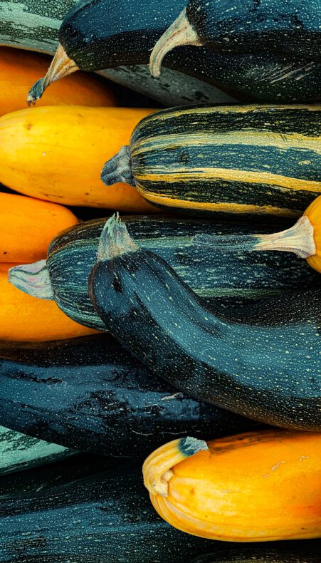 Courgettes in overvloed op de open dag op de Vegaboerderij Groene Hart