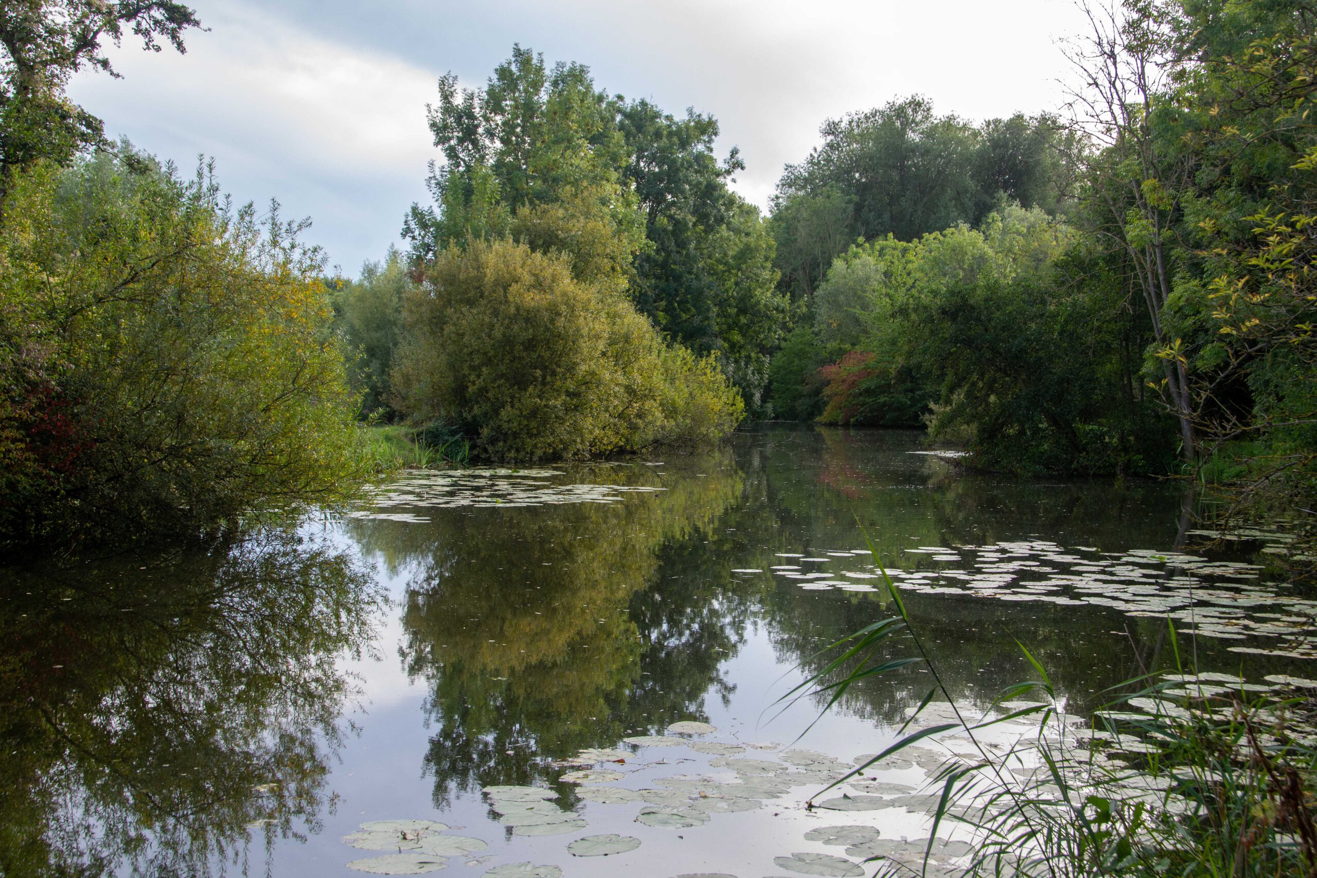 Ontdek de Kromme Aar bij avond
